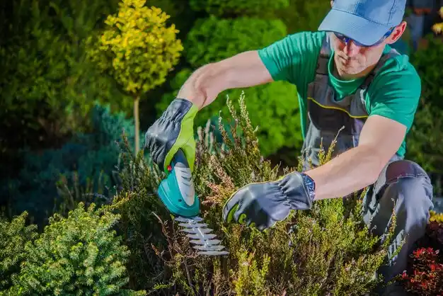 landscaping services New Troy